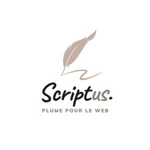 Scriptus, un consultant seo à Saint-Etienne