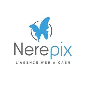 Nerepix, un expert en référencement à Dieppe